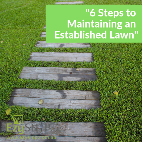 EzySNIP presents 6 Steps to Maintaining an Established Lawn