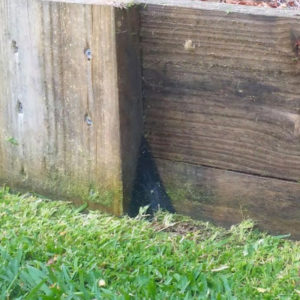 "Hard to trim" grass trimmed easily with EzySNIP installed